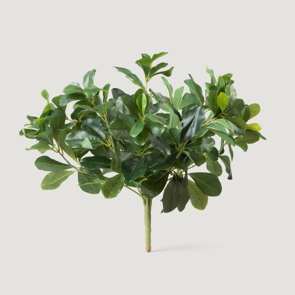 Natural Touch Artificial Wax Privet Leaf Plant, 15"