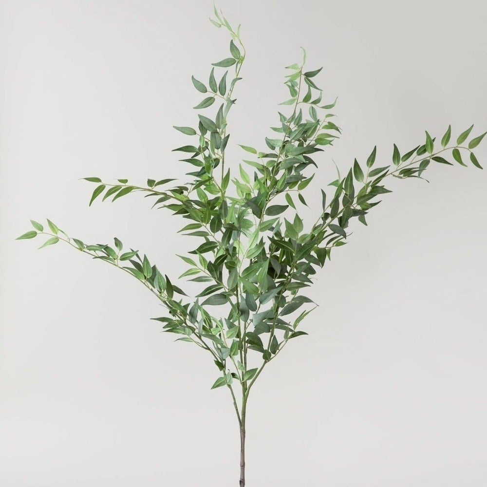 Faux Italian Ruscus Spray, 46"