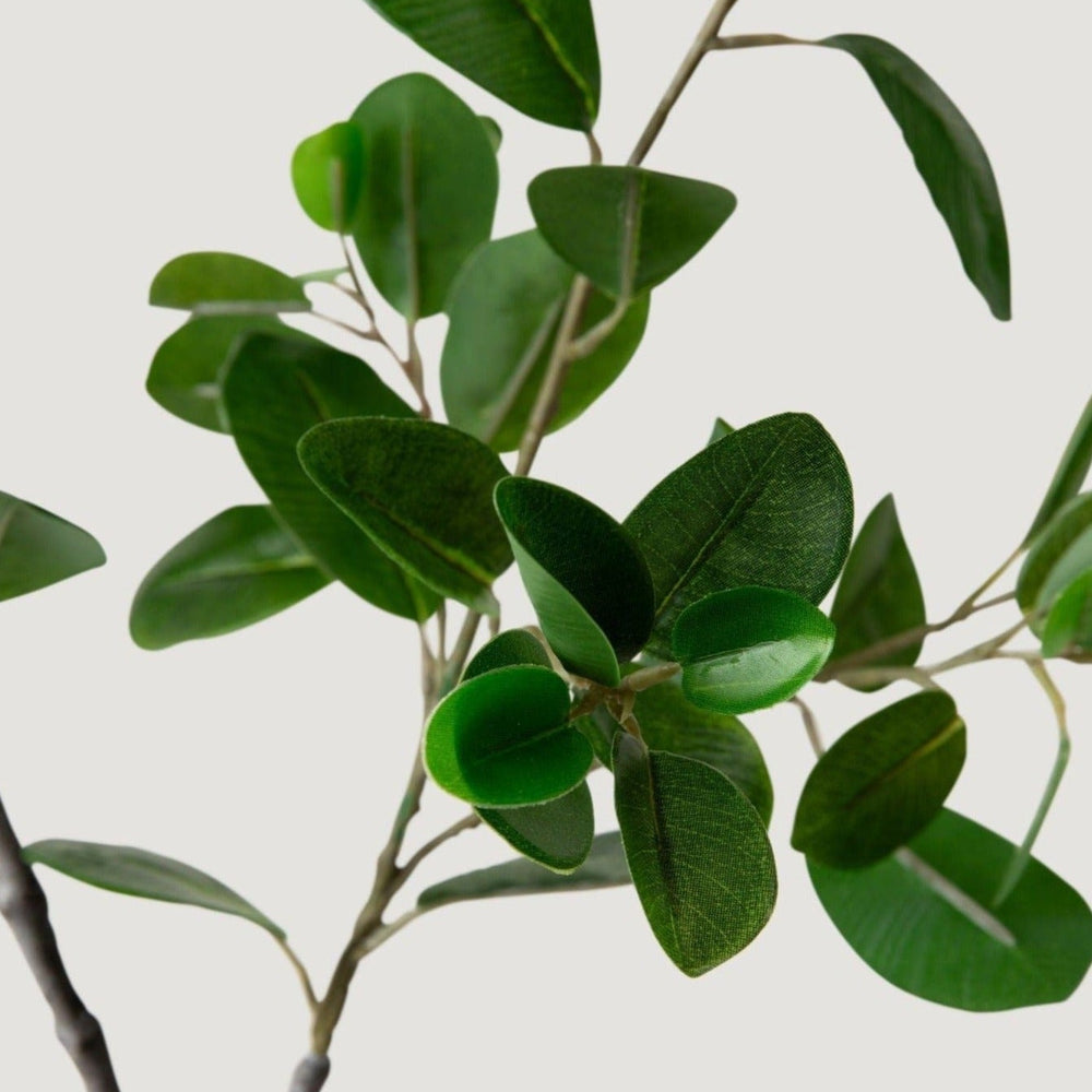 
                      
                        Fake Italian Ficus Branch, 38"
                      
                    