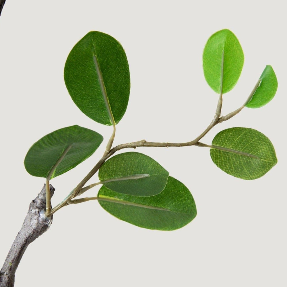 
                      
                        Fake Italian Ficus Branch, 38"
                      
                    