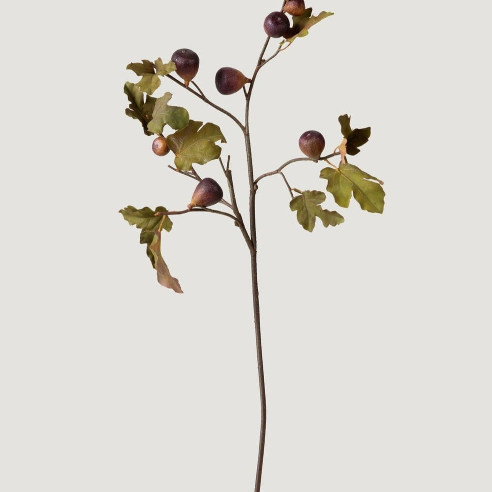 Dried Look Faux Fig Branch in Eggplant - 37"