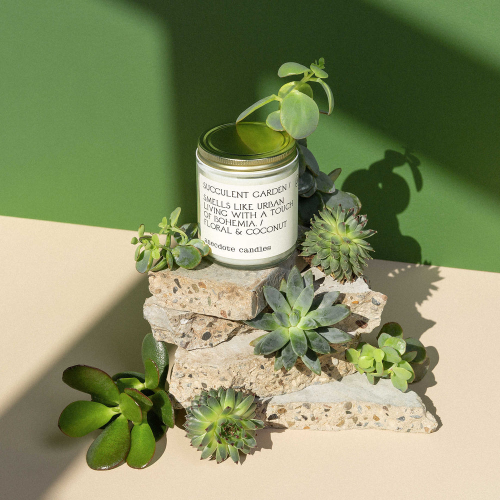 
                      
                        Succulent Garden Candle
                      
                    