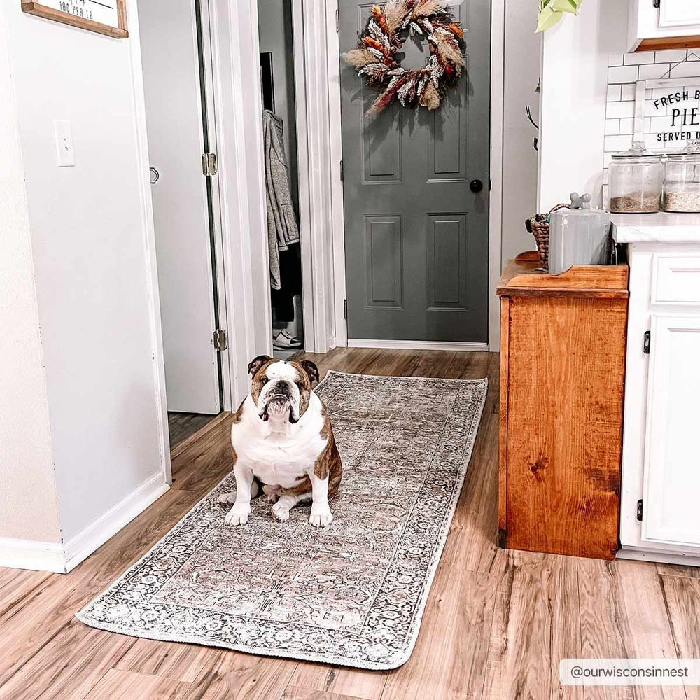 
                      
                        Tan Jill Vintage Washable Area Rug
                      
                    