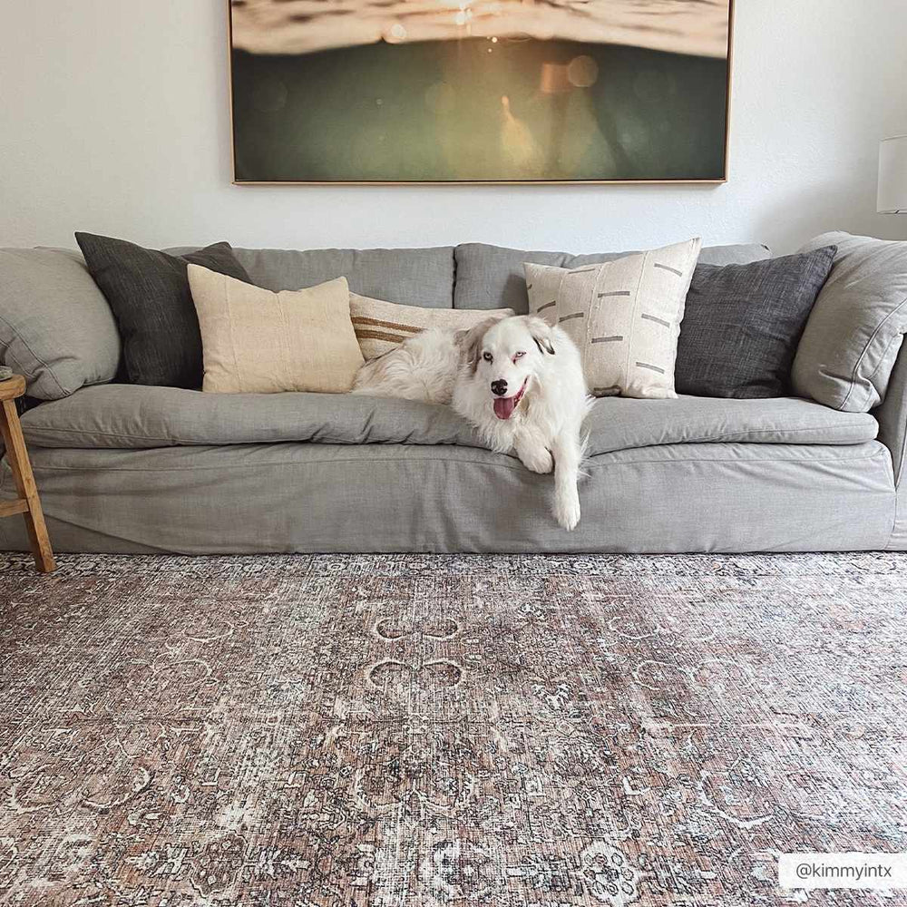 
                      
                        Tan Jill Vintage Washable Area Rug
                      
                    
