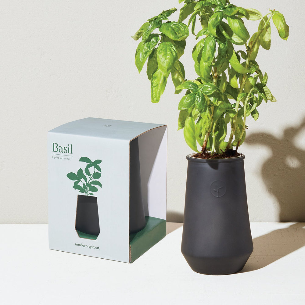 
                      
                        Tapered Tumbler Grow Kits
                      
                    