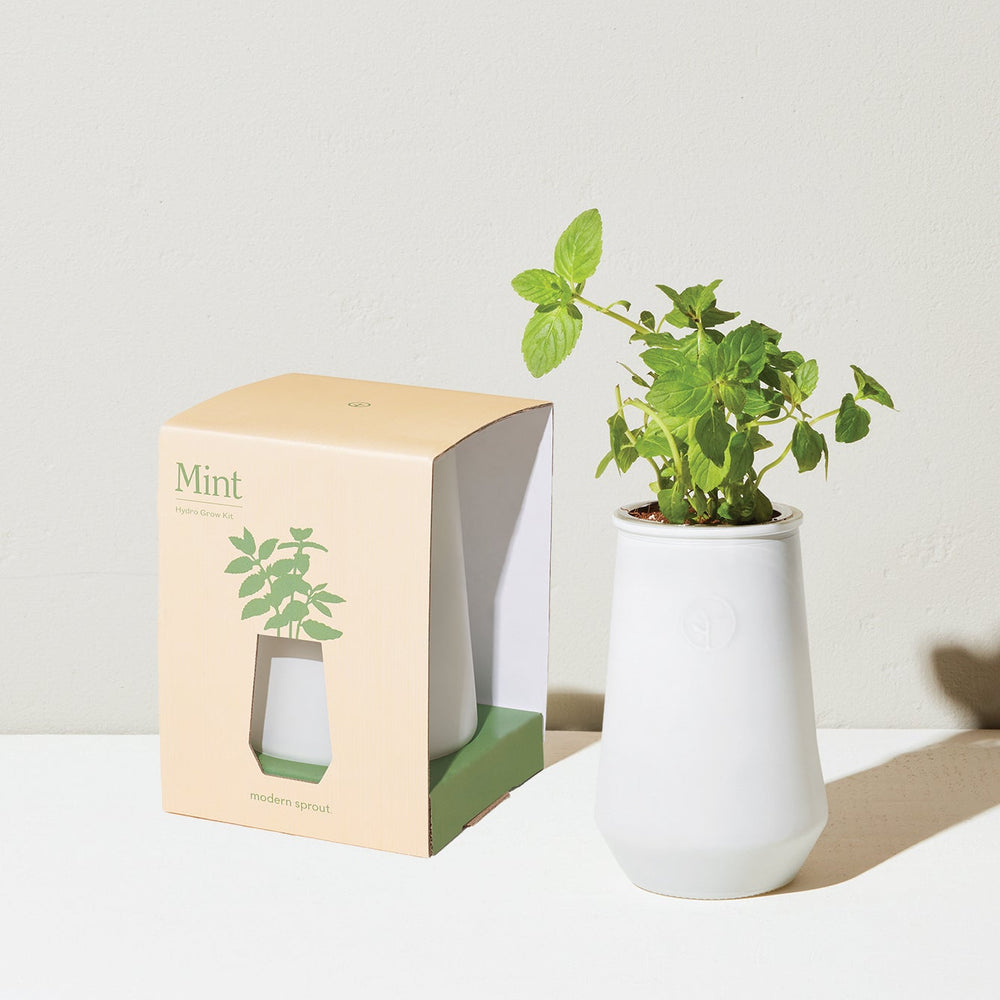 
                      
                        Tapered Tumbler Grow Kits
                      
                    