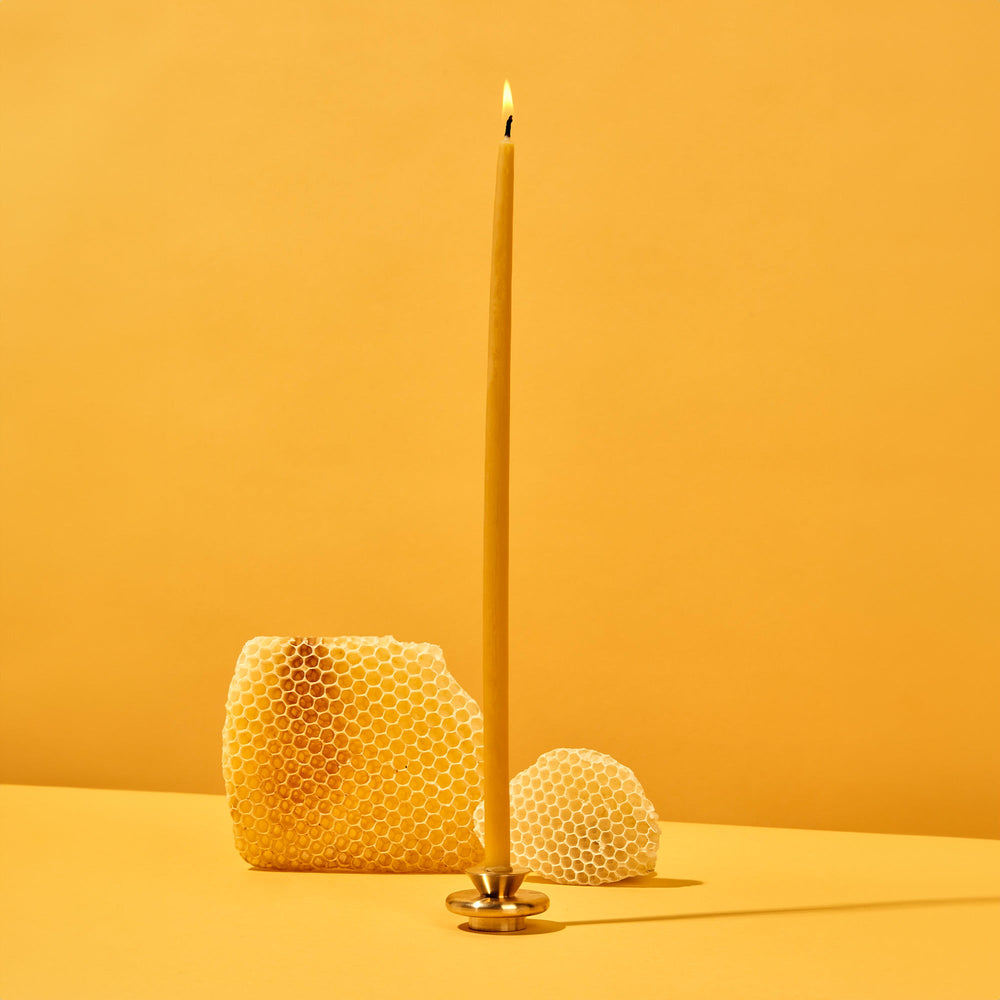 
                      
                        Brass Candle Holder XS
                      
                    