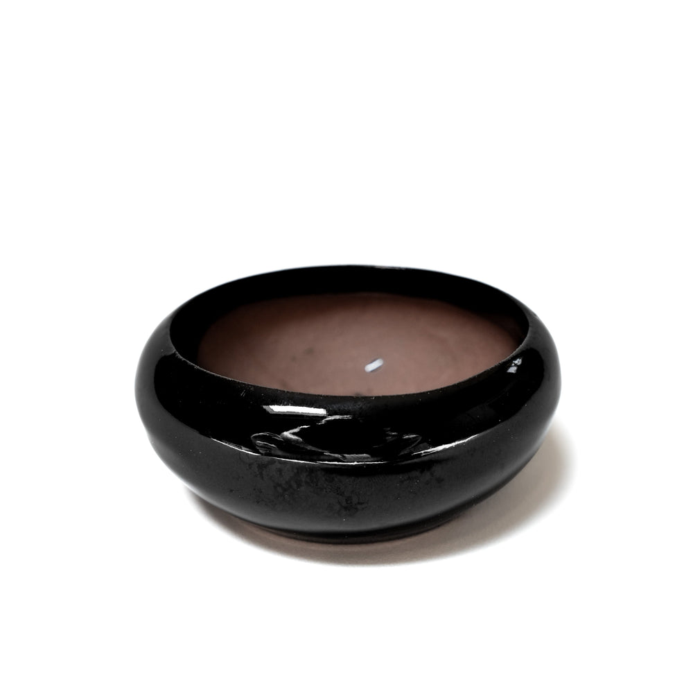 
                      
                        Fully Assembled Tillandsia Air Plant Dish Garden in Black Glazed Container
                      
                    