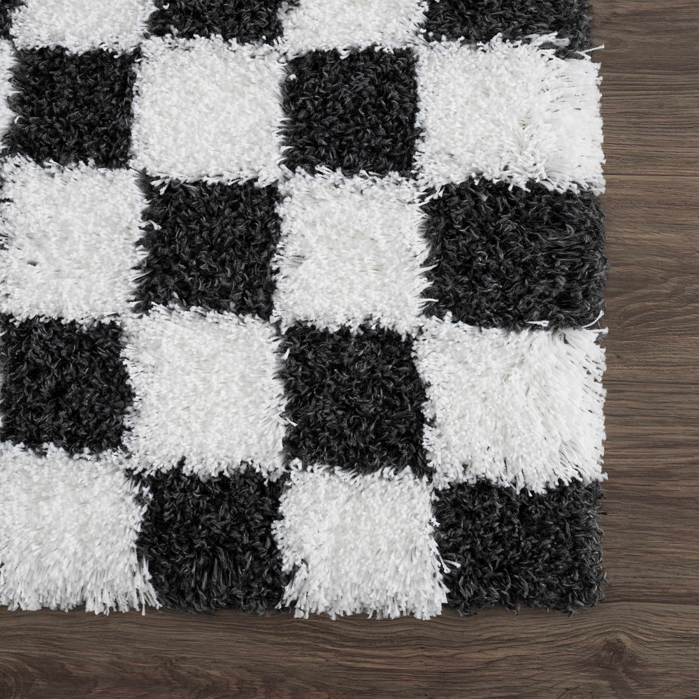 
                      
                        Atira Black & White Checkered Area Rug
                      
                    