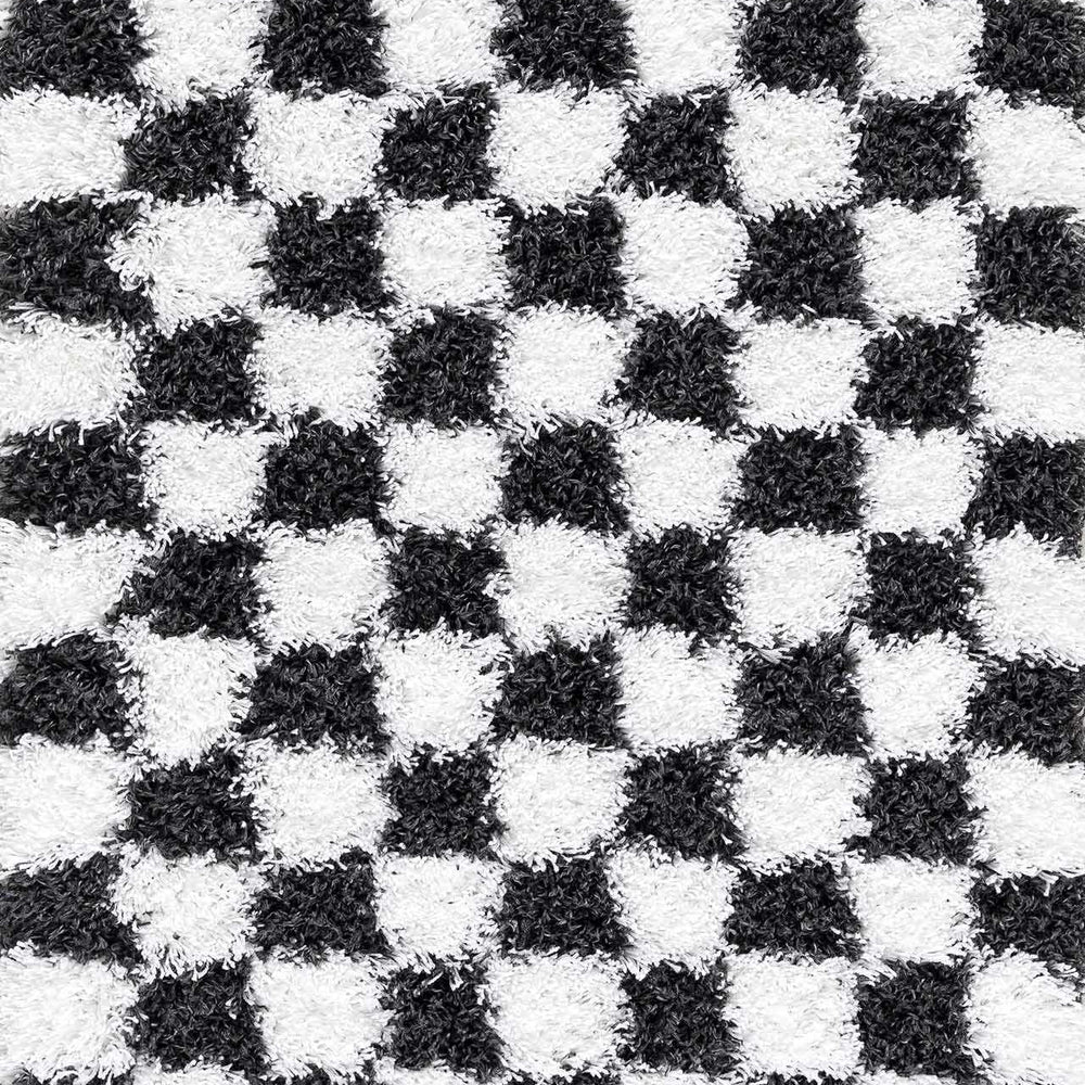 
                      
                        Atira Black & White Checkered Area Rug
                      
                    