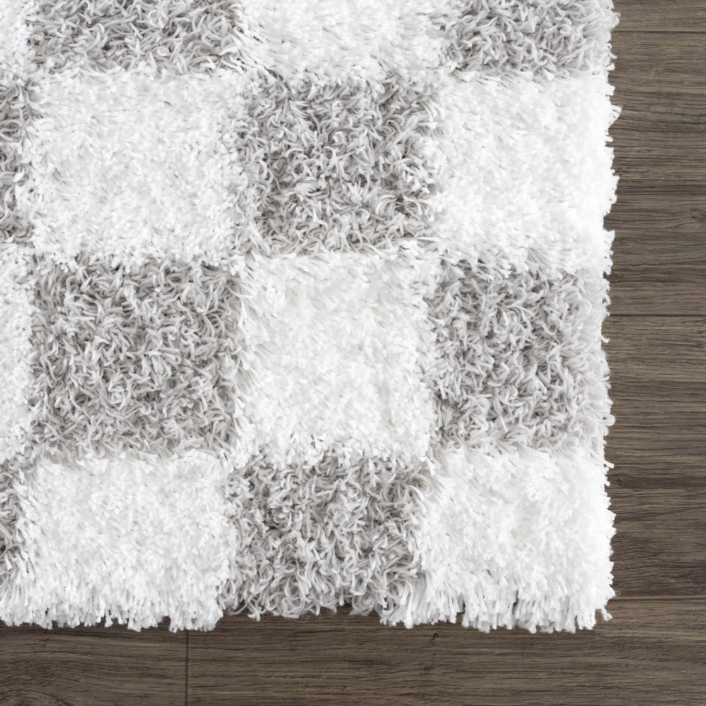 
                      
                        Atira Gray Checkered Area Rug
                      
                    