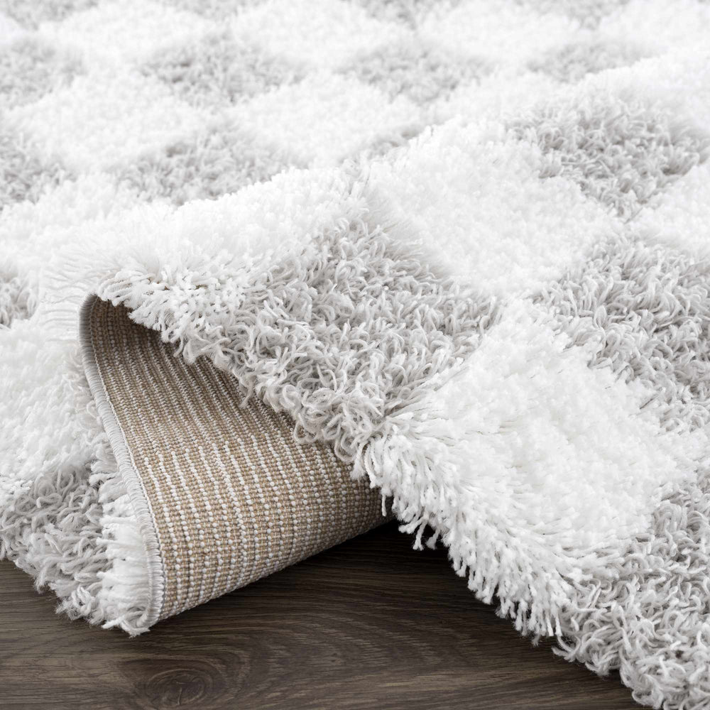 
                      
                        Atira Gray Checkered Area Rug
                      
                    