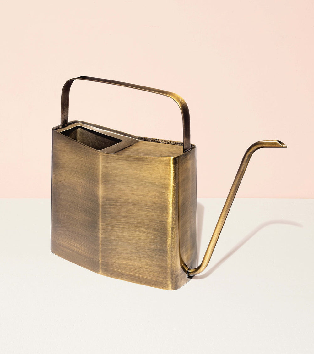 Modern Stainless Steel Watering Can