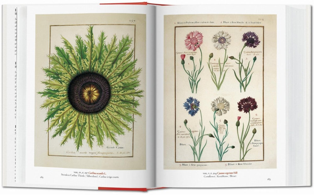 
                      
                        TASCHEN A Garden Eden. Masterpieces of Botanical Illustration. 40th Ed. (German, French, English) - lily & onyx
                      
                    