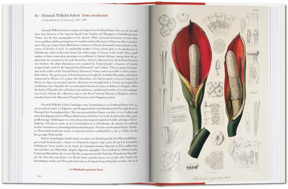 
                      
                        TASCHEN A Garden Eden. Masterpieces of Botanical Illustration. 40th Ed. (German, French, English) - lily & onyx
                      
                    