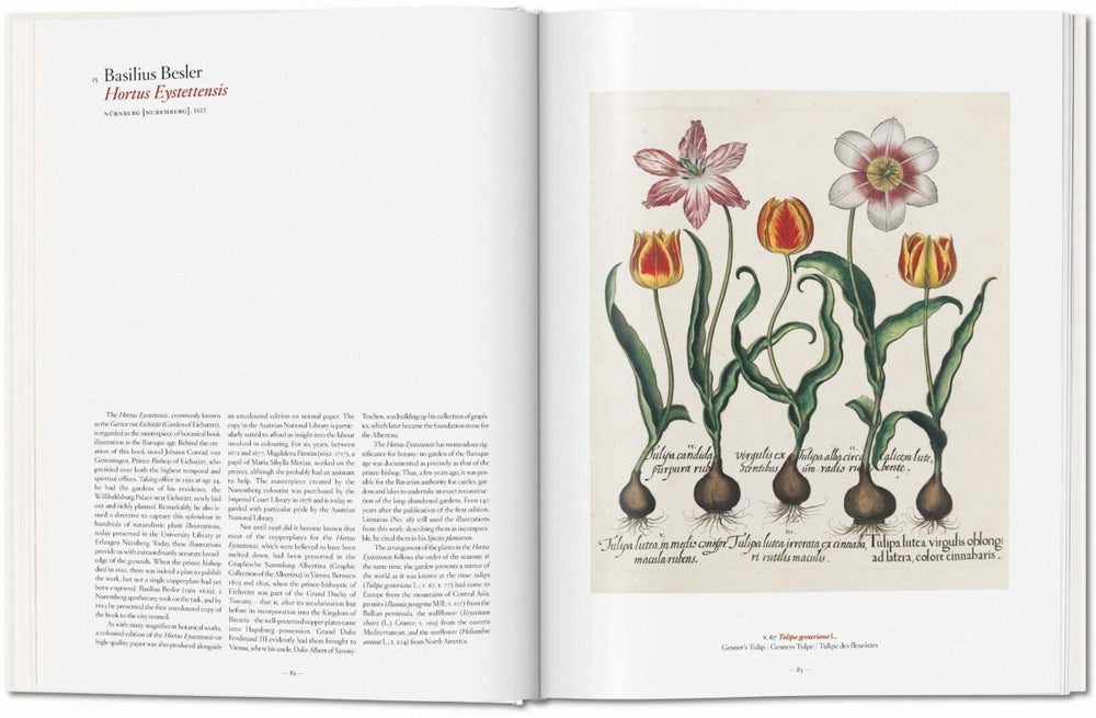 
                      
                        TASCHEN A Garden Eden. Masterpieces of Botanical Illustration (German, French, English) - lily & onyx
                      
                    