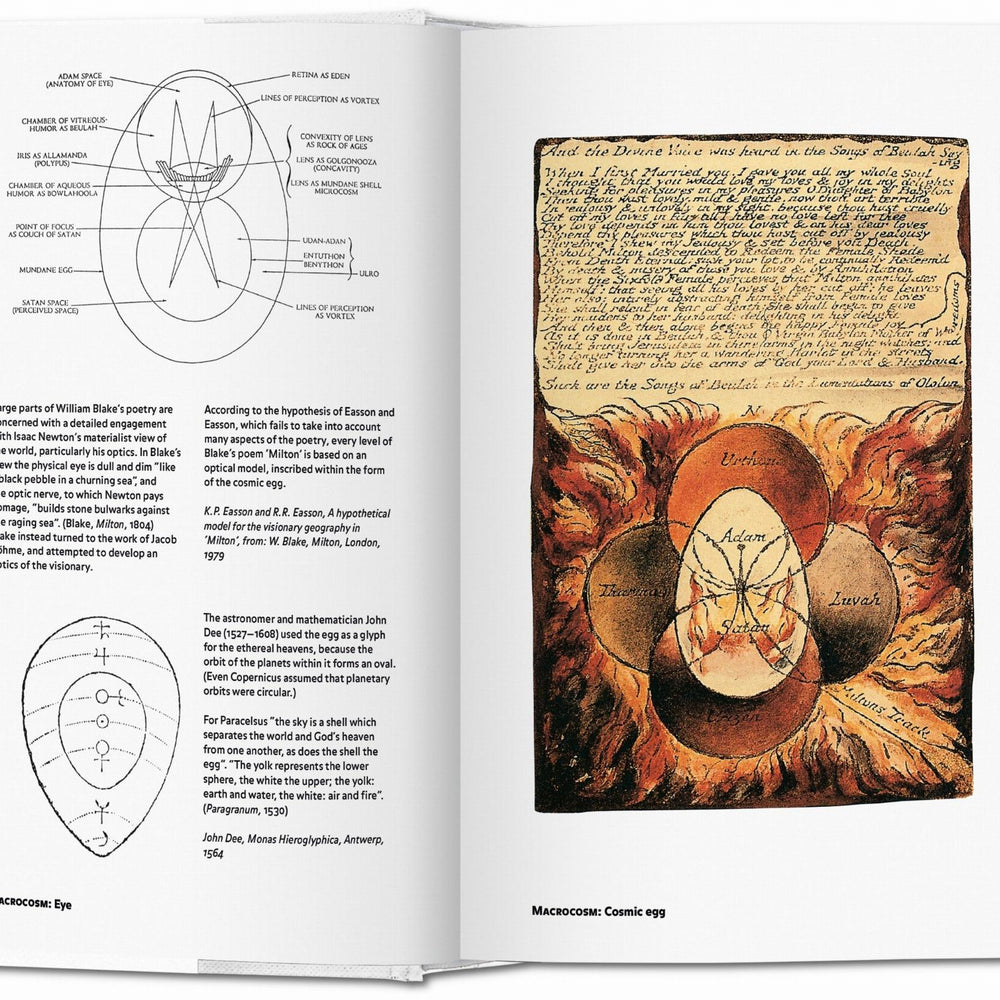 
                      
                        Alchemy & Mysticism (English)
                      
                    
