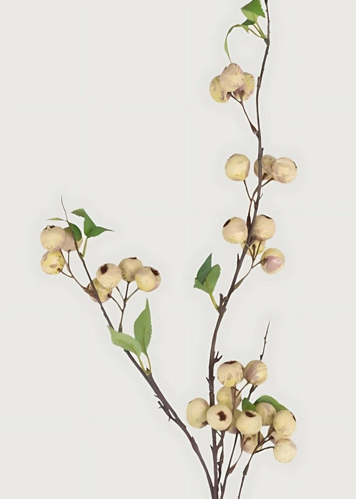 
                      
                        Afloral Abigail Ahern Artificial Hawthorn Berry Branch in Cream - 35.25" - lily & onyx
                      
                    
