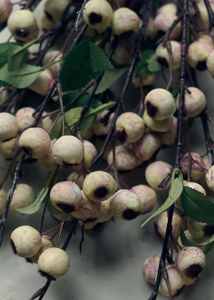 Afloral Abigail Ahern Artificial Hawthorn Berry Branch in Cream - 35.25" - lily & onyx
