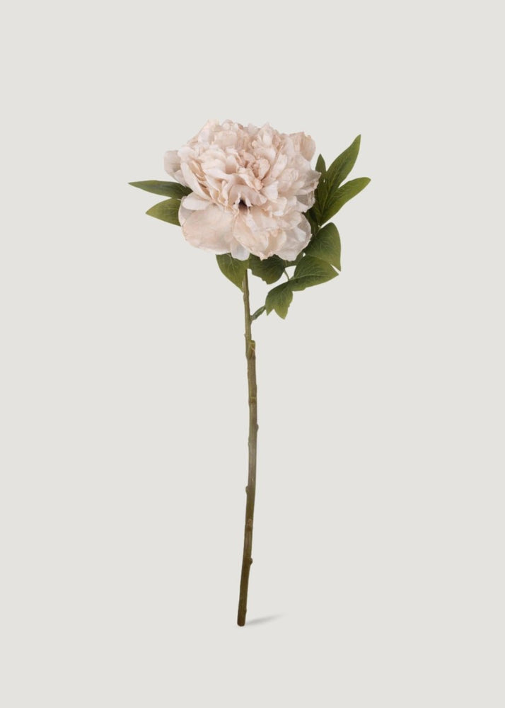 Afloral Abigail Ahern Beige Blush Artificial Peony Flower - 17.5" - lily & onyx