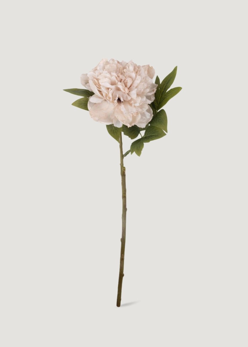 Afloral Abigail Ahern Beige Blush Artificial Peony Flower - 17.5" - lily & onyx