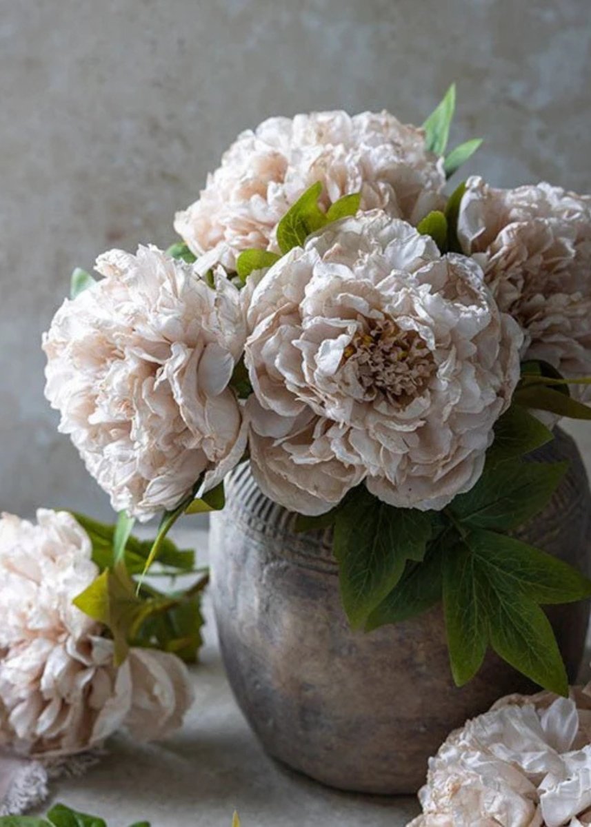 Afloral Abigail Ahern Beige Blush Artificial Peony Flower - 17.5" - lily & onyx