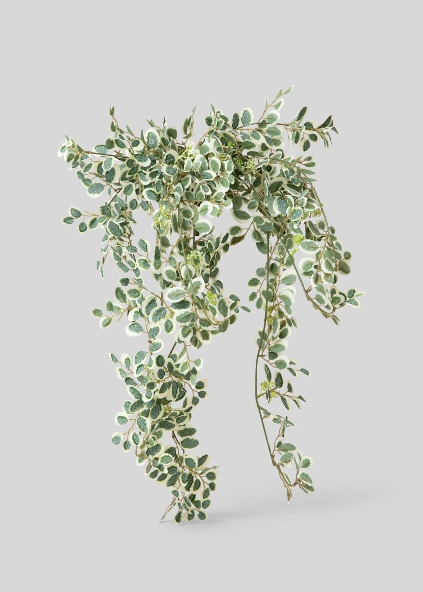 Afloral Artificial Button Leaf Variegated Hanging Plant - 35"