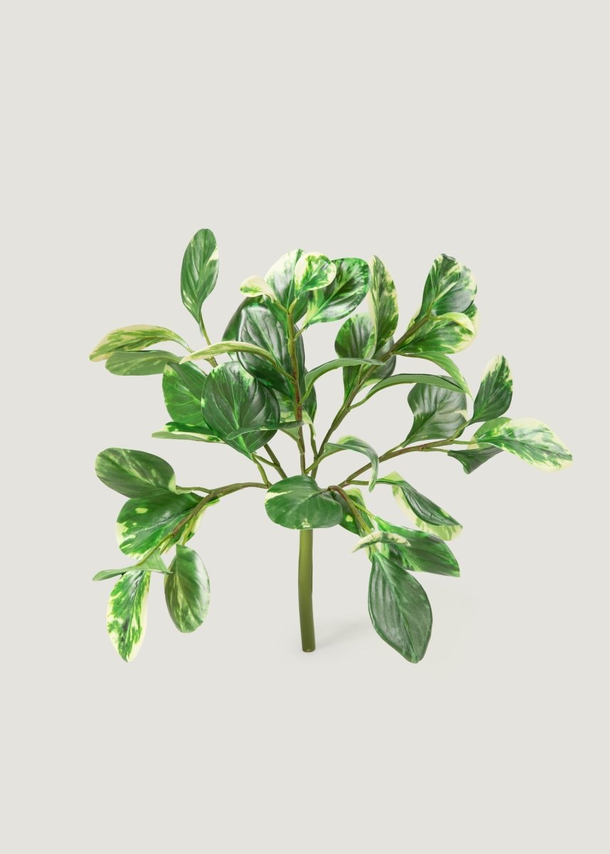 Afloral Artificial Peperomia Plant Variegated Green - 16" Planter Ready