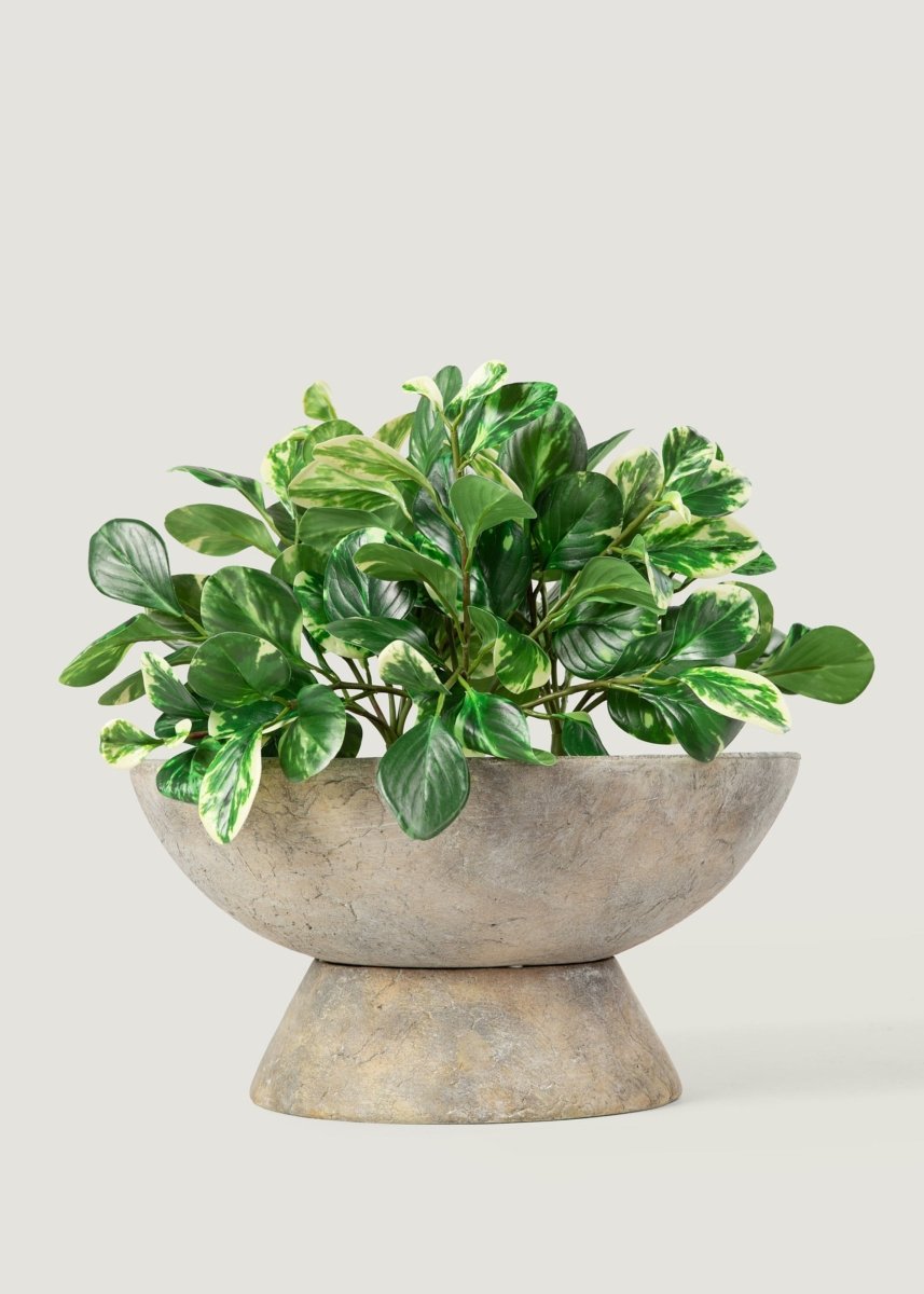 Afloral Artificial Peperomia Plant Variegated Green - 16" Planter Ready