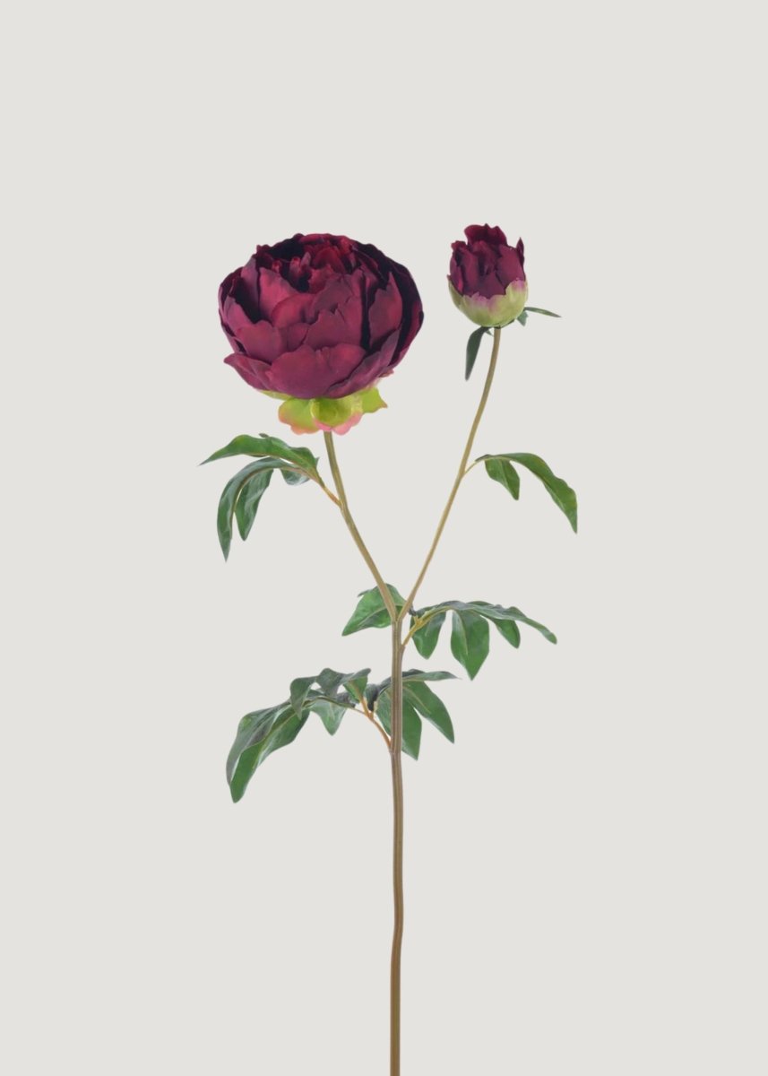 Afloral Burgundy Real Touch Peony - 27"