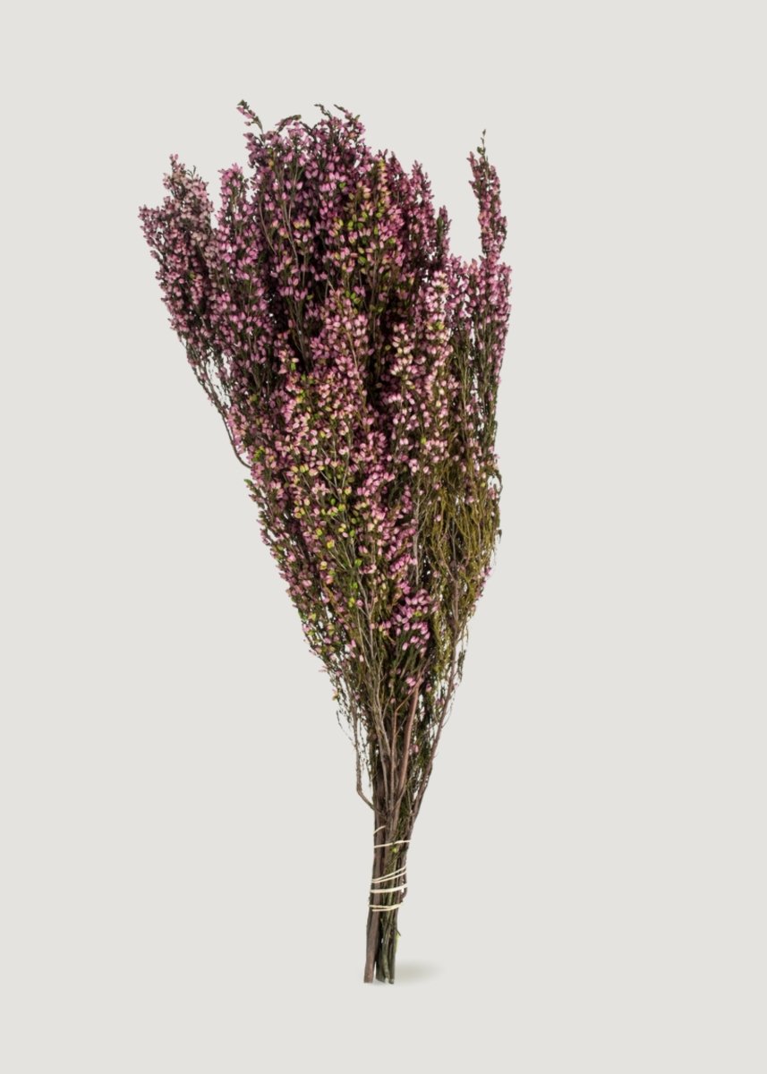Afloral Dried Flowers Pink Preserved Heather Bundle - 18 - 20"