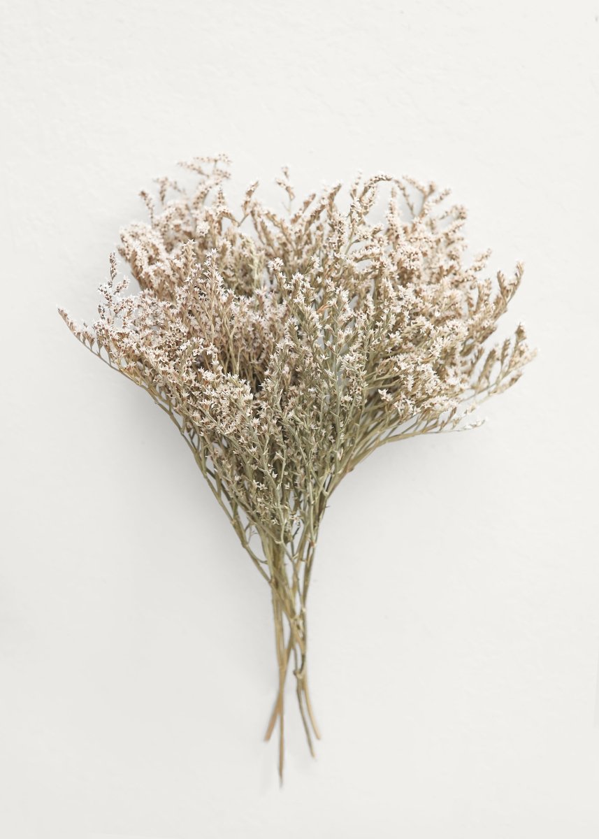 Afloral Dried German Statice Bundles - Natural White Flowers, 10 - 13"