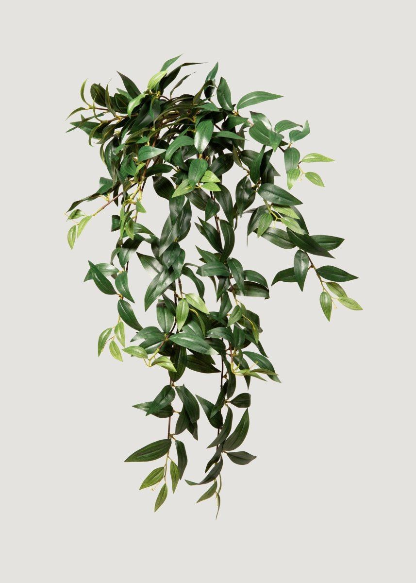 Afloral Fake Ruscus Leaf Hanging Plant - 31"