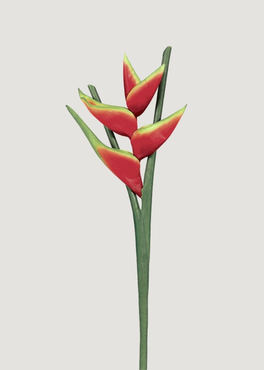 Afloral Faux Red Hawaiian Heliconia Tropical Flower - 34"