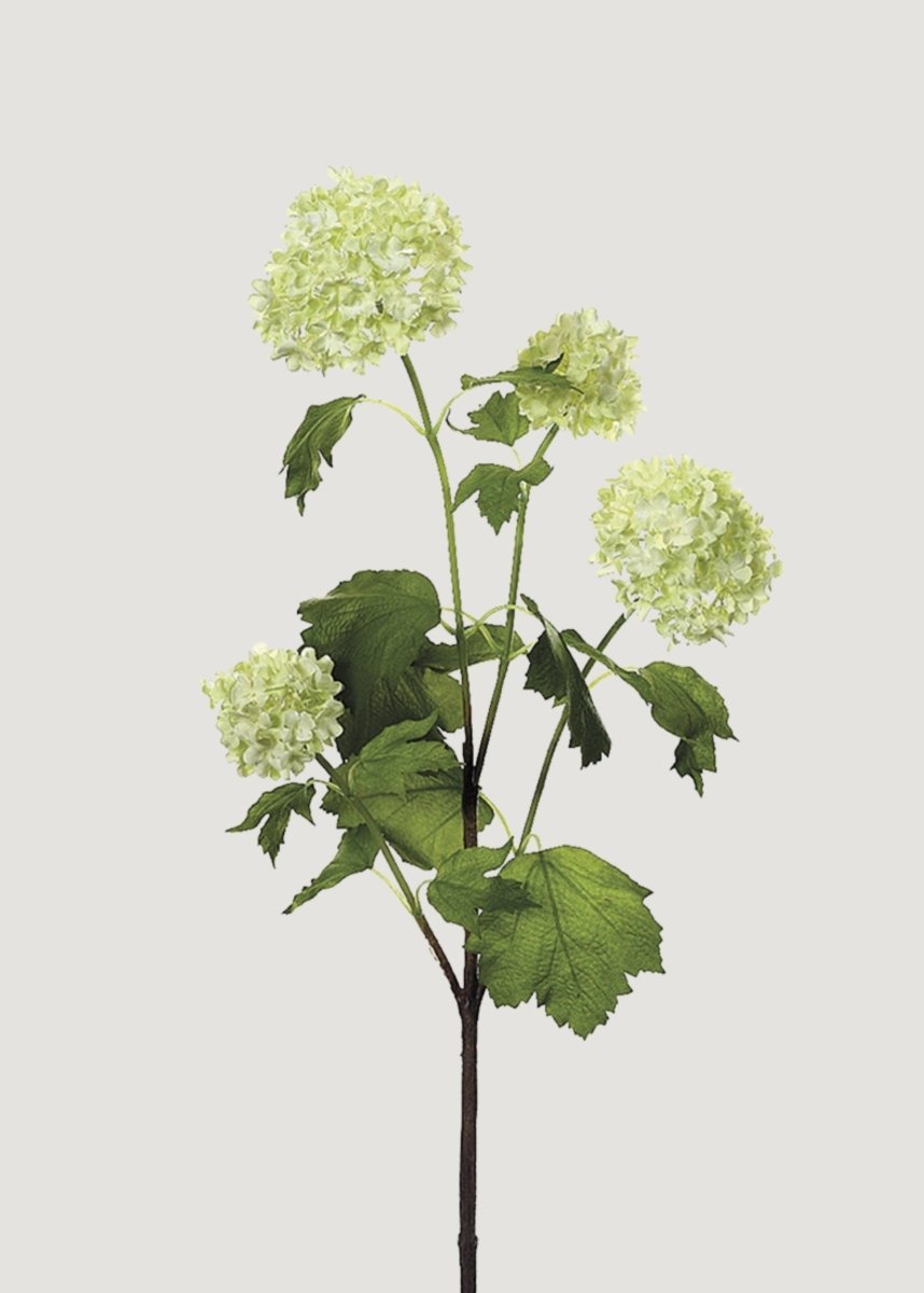 Afloral Green Cream Artificial Snowball Flowers - 24"