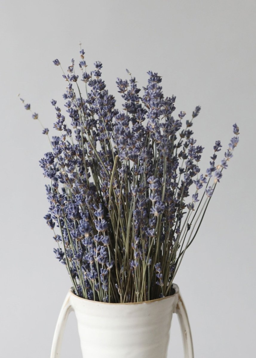 Afloral Natural Dried Lavender Bundle 50 - 75 Stems | Washington Grown 6 - 14"