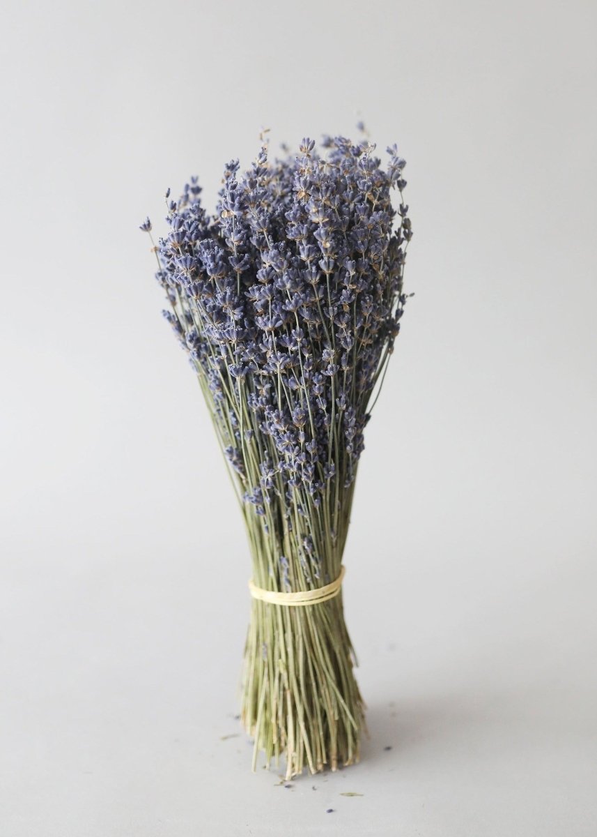 Afloral Natural Dried Lavender Bundle 50 - 75 Stems | Washington Grown 6 - 14"