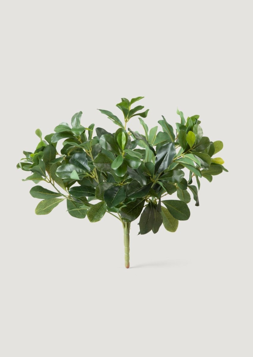 Afloral Natural Touch Artificial Wax Privet Plant - 15" Green Foliage Bush