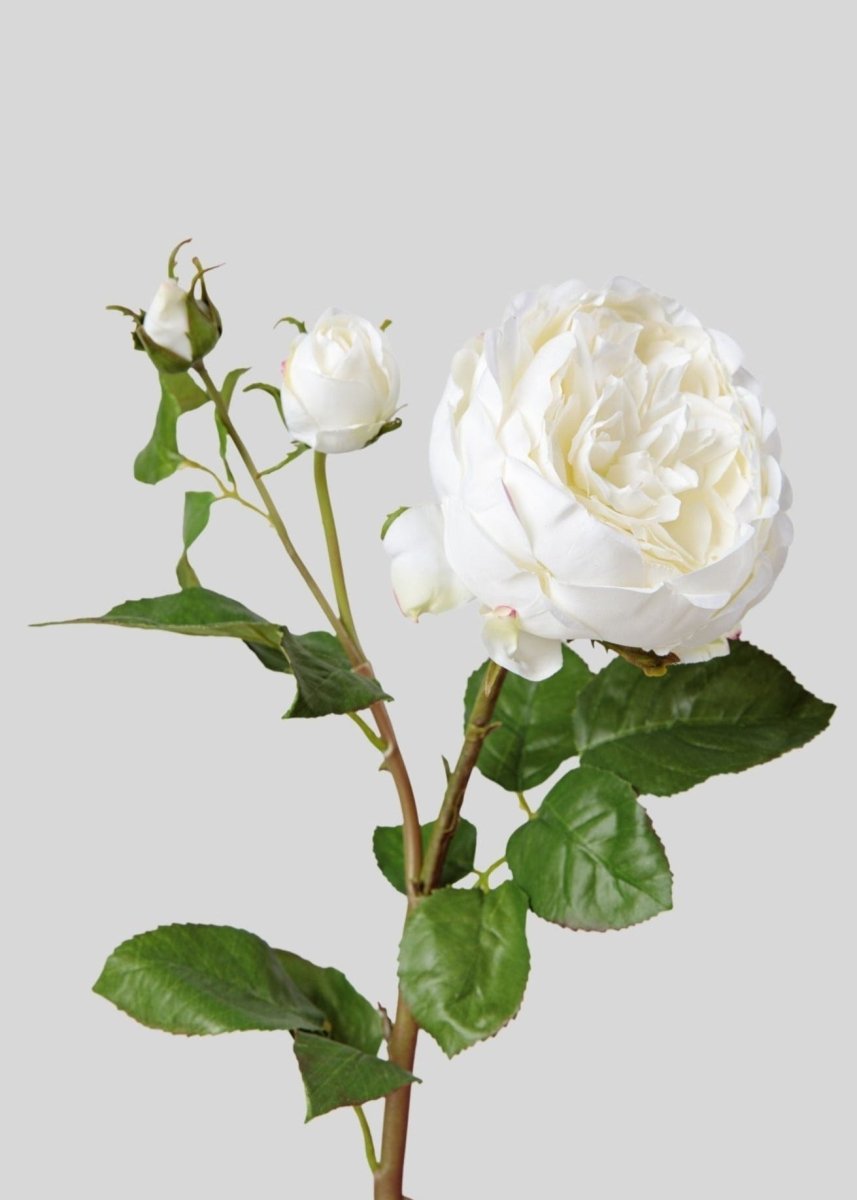 Afloral Real Touch Fake Flower English Rose with Bud - 21"