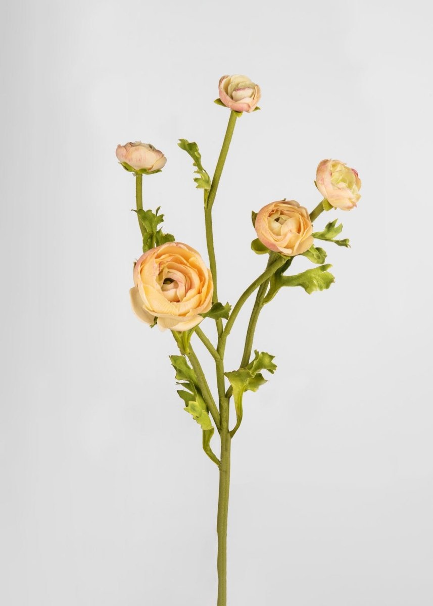 Afloral Real Touch Faux Ranunculus in Peach - 21.5"