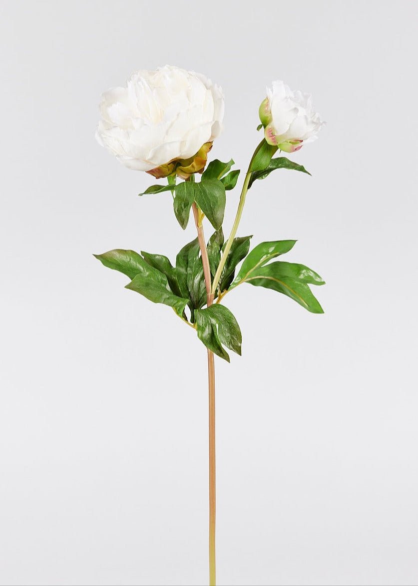 Afloral Real Touch Peony Artificial Flower Beige 27" - Faux Silk Stem