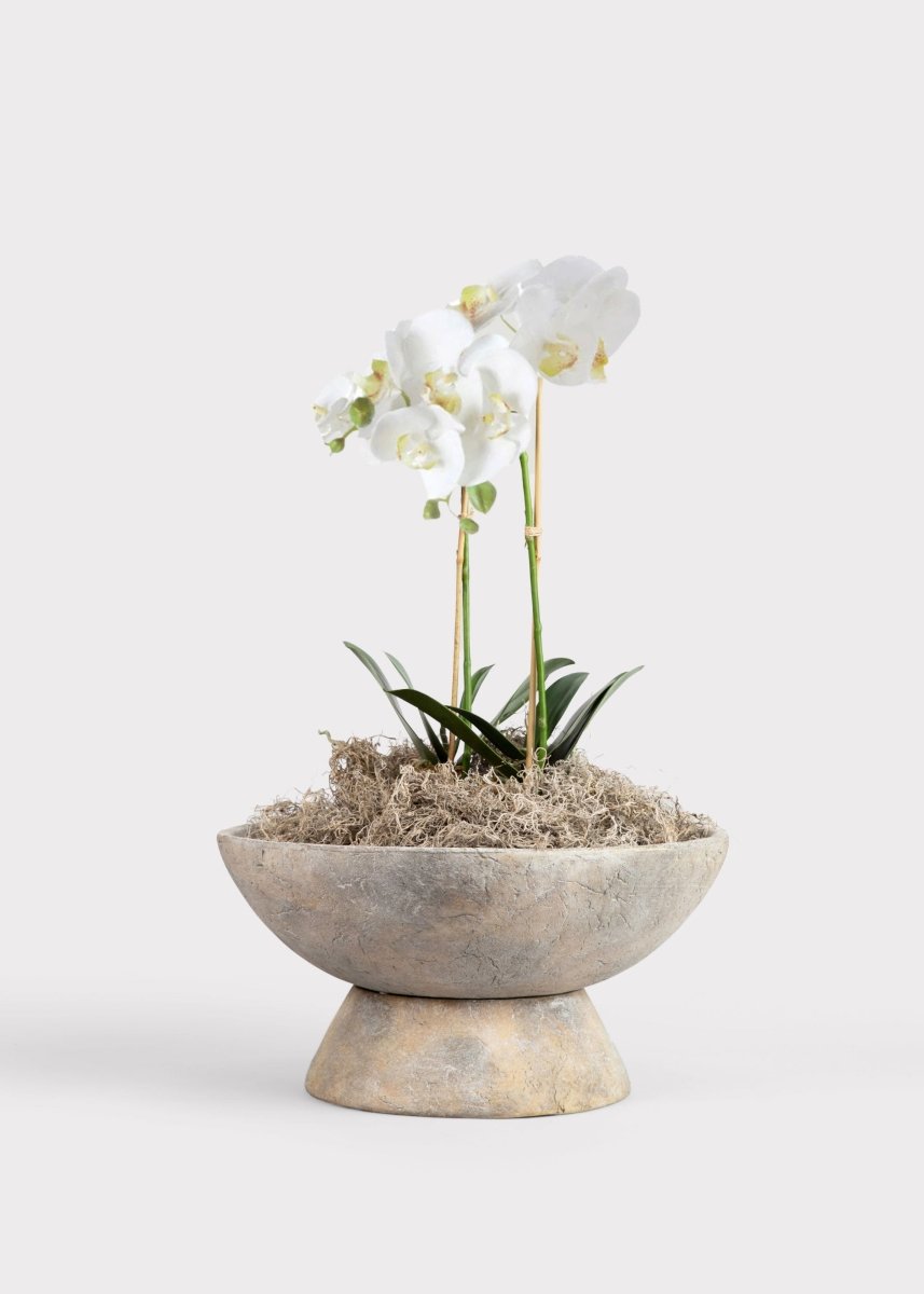Afloral White Faux Phalaenopsis Orchid Drop-In Plant 23" | Artificial Spring Blooms