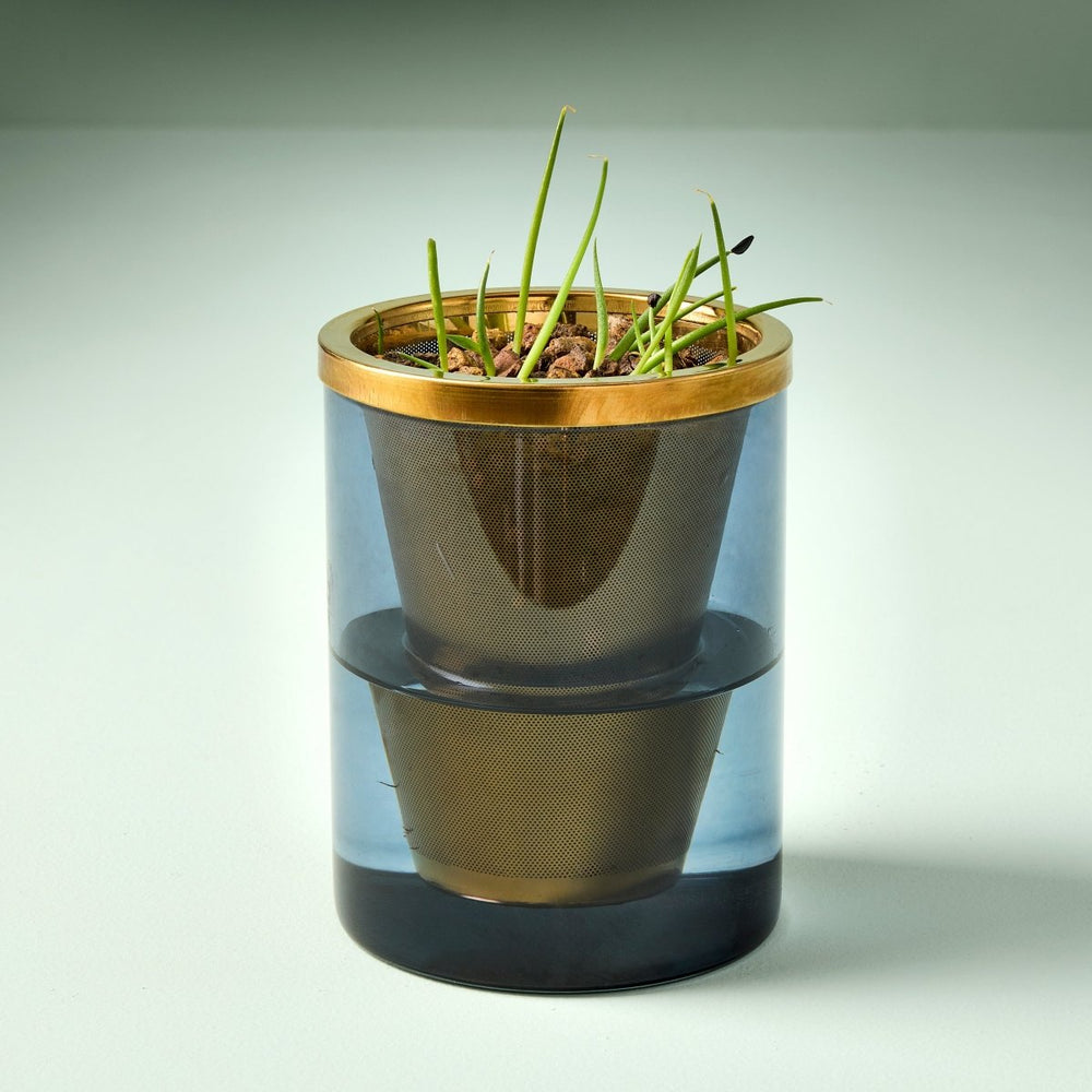 
                      
                        Modern Sprout Agave Grow Kit - lily & onyx
                      
                    