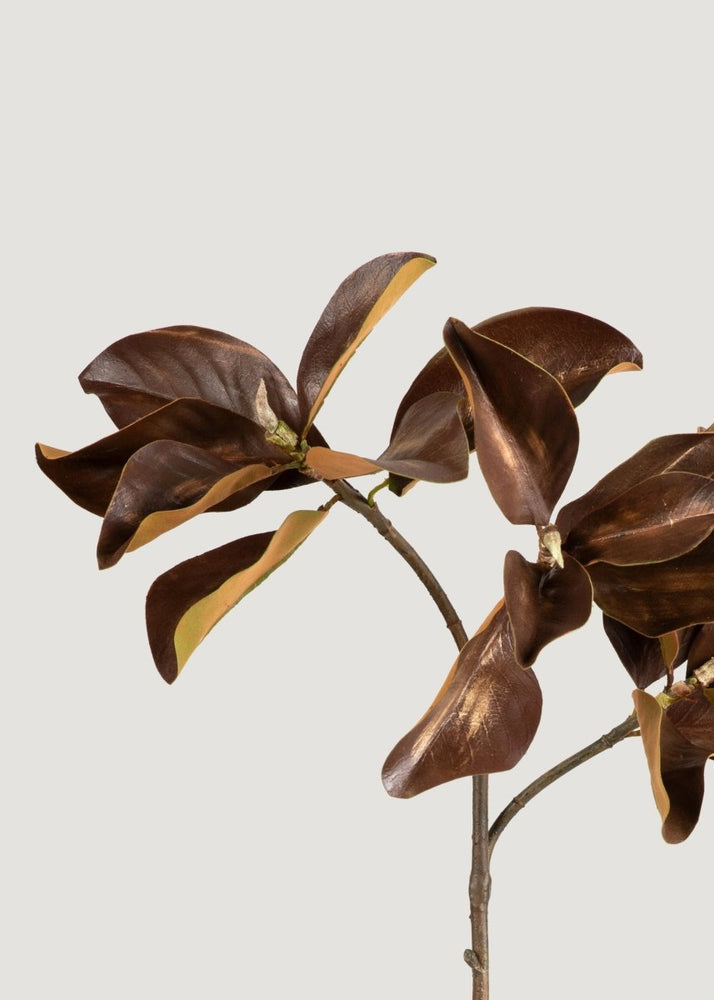 
                      
                        Afloral Aged Fake Magnolia Leaf Branch - 38.5" - lily & onyx
                      
                    