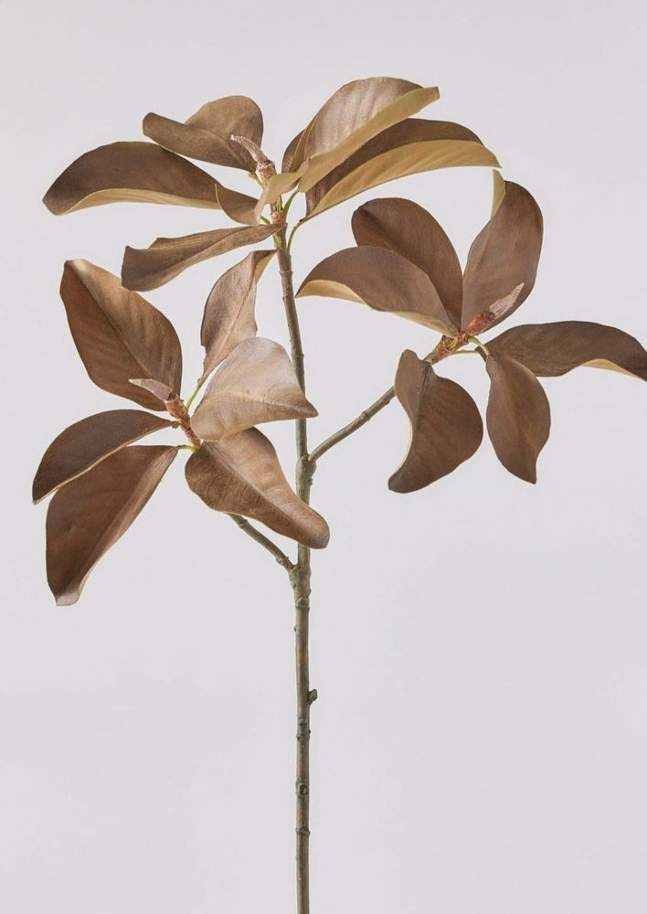 
                      
                        Afloral Aged Fake Magnolia Leaf Branch - 38.5" - lily & onyx
                      
                    