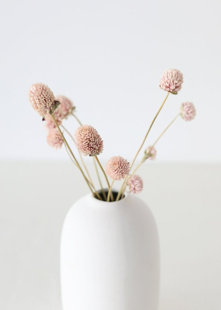 
                      
                        Afloral Air - Dried Globe Amaranth in Pink, 14 - 18" - lily & onyx
                      
                    