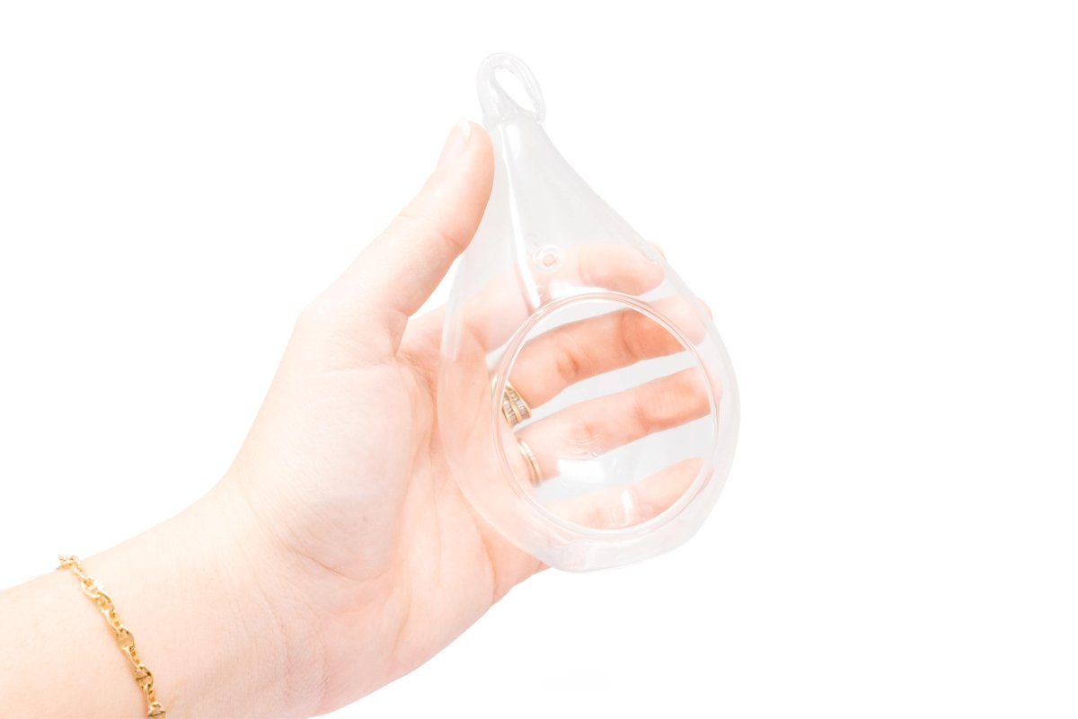 Air Plant Supply Co. Hand - Blown Glass Teardrop Terrarium - Ionantha Fuego Air Plant 3x5"