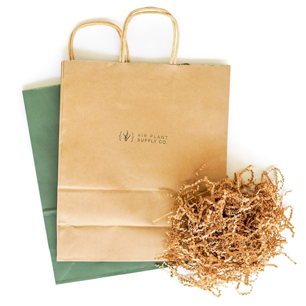 Air Plant Supply Co. Ivory Ceramic Air Plant Vase Gift Set - Tillandsia with Gift Wrap