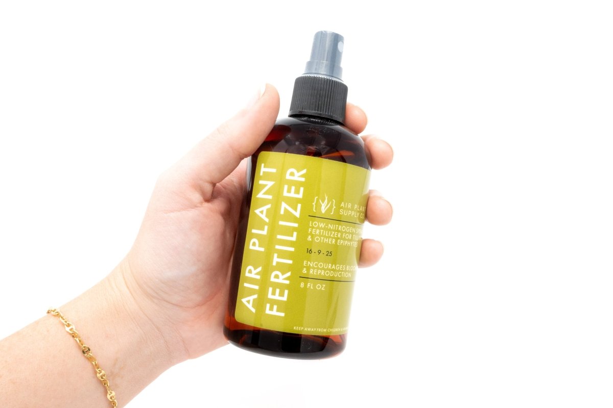 Air Plant Supply Co. Ready - To - Use Air Plant Fertilizer - Low - Nitrogen Formula, 8 oz