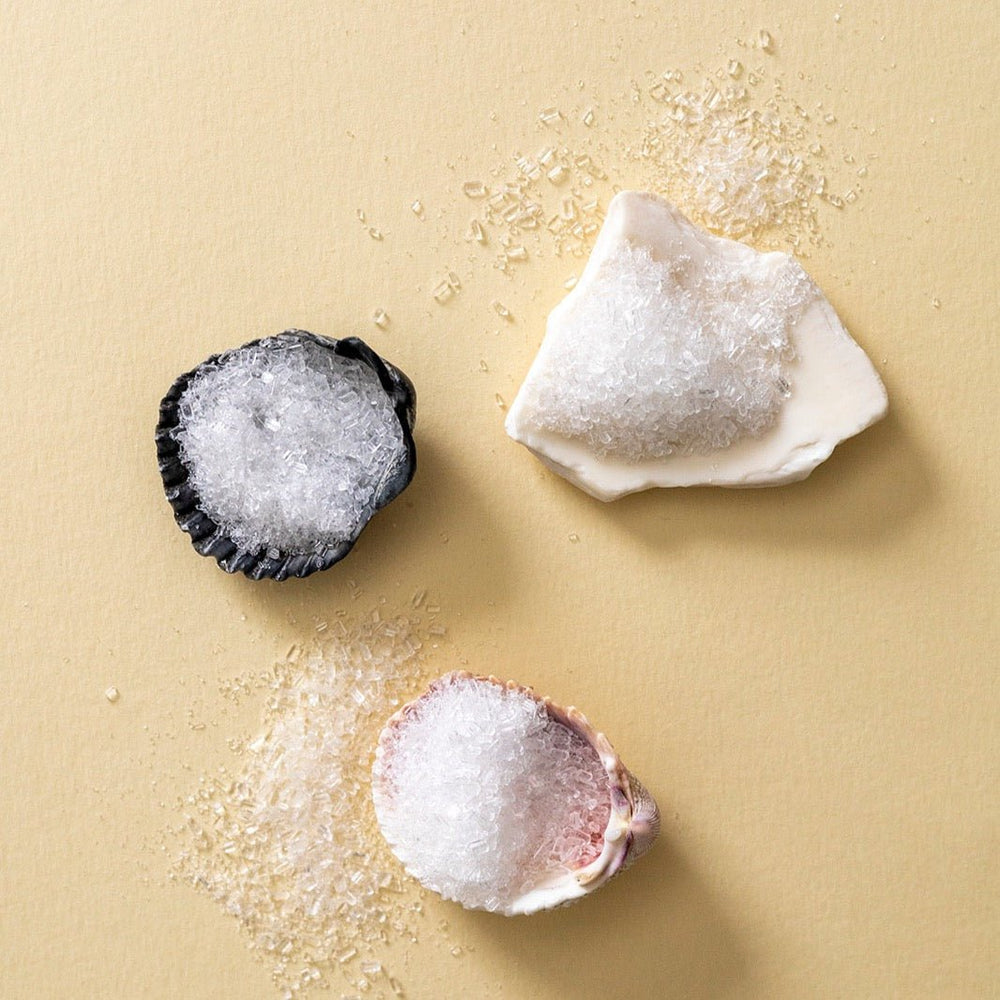 
                      
                        Slow North All - Natural Bath Salts, 15 oz - Of The Sea - lily & onyx
                      
                    